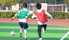 �������A��������M(j��n)����