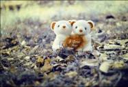 Photoshop�{(di��o)����Ƭ�ɐ�(��i)���{(l��n)�Sɫ