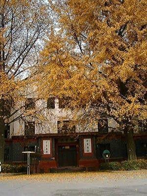 �Ĵ���W(xu��)