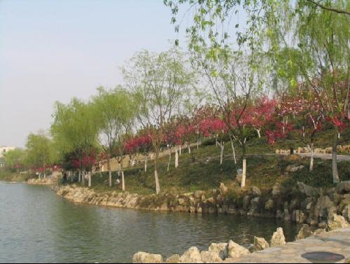 �Ͼ�������W(xu��)