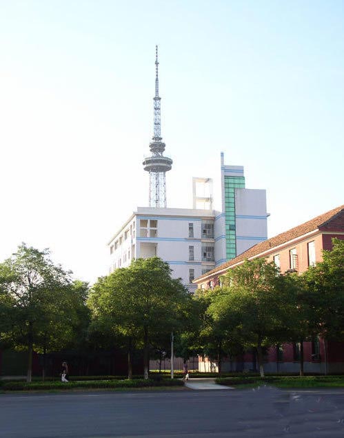 �����Ƽ���W