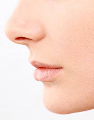  ����W�c��ǻ�t�W 