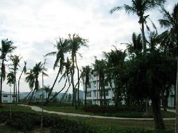 ���ϴ�W�����WԺ