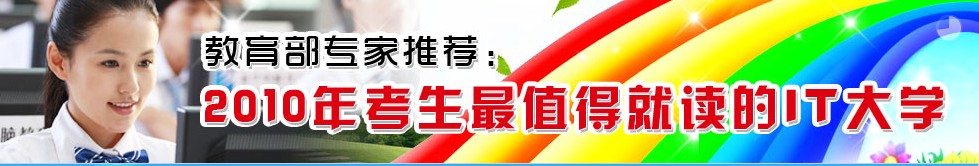 2010������ֵ���ϵ�IT��W(xu��)