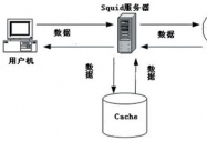 ����SQUID��͸�����팍�F�ȾW�L��Internet
