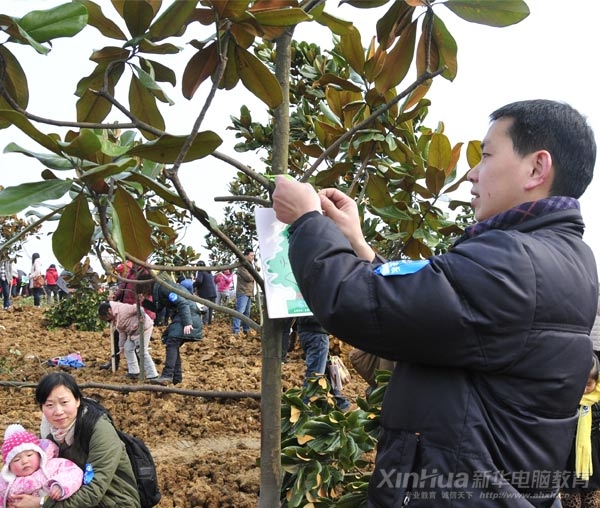 ֲ����(d��ng)�F(xi��n)��(ch��ng)������J(r��n)��ֲ��