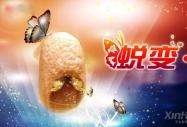 �ഺ�Զ��x,��������ϵ�С������cŮ��ʩ�ۻ۵Ļ��O�ɵ�
